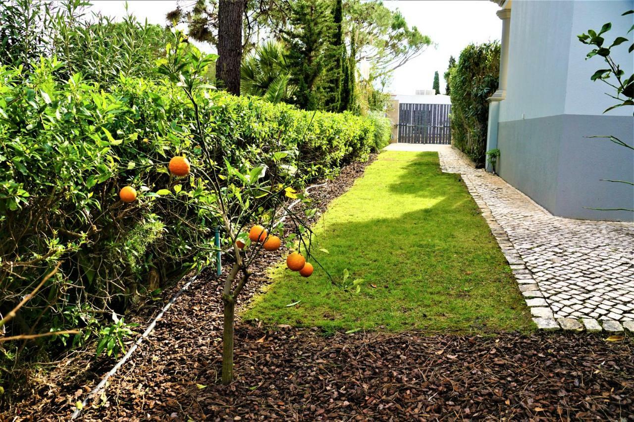 Charming Exceptional Golf Villa In Algarve Faro Bagian luar foto